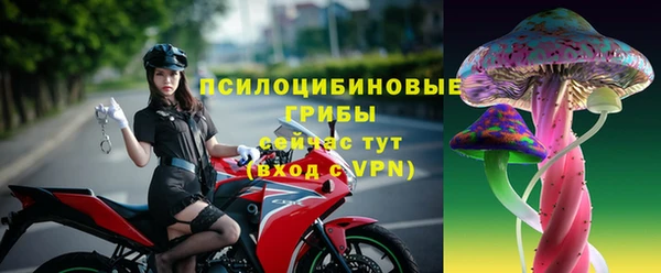 тгк Козельск